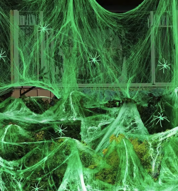Festora™ Glow in The Dark Spider Web